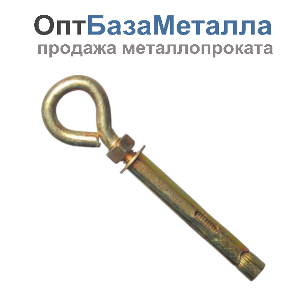 Анкерный болт с кольцом 10х80